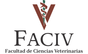 campusvirtualfacivunican
